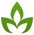 wah-joy-logo-leaf